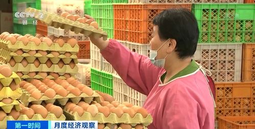 家禽销售连降19周，市场格局面临深刻调整