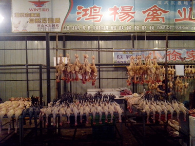 武侯区鸿一家禽经营部 新鲜农家鸡与冷冻食品批发供应的品质之选