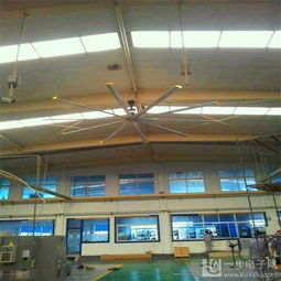 河南厂家直销工业大风扇与家禽销售 多领域应用解决方案
