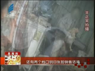 环保突击检查 工厂排出红水引发关注，家禽销售市场亦受影响