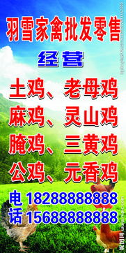 家禽批发零售 图片背后的销售新机遇