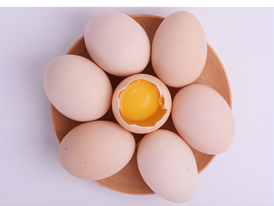 必要商城 大牌品质，工厂直供，重塑家禽消费新体验